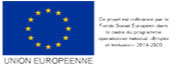 logo union européenne